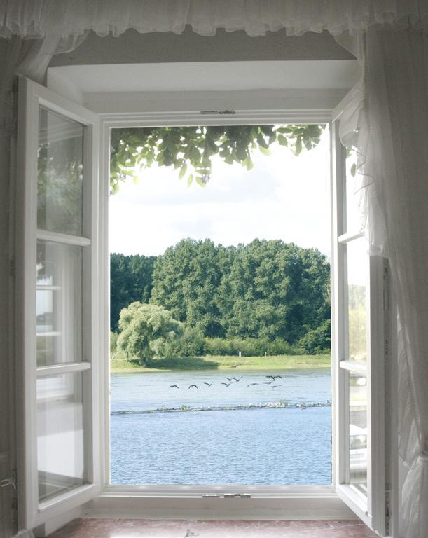 Rhein River Guesthouse - Direkt Am Rhein Leverkusen Eksteriør billede