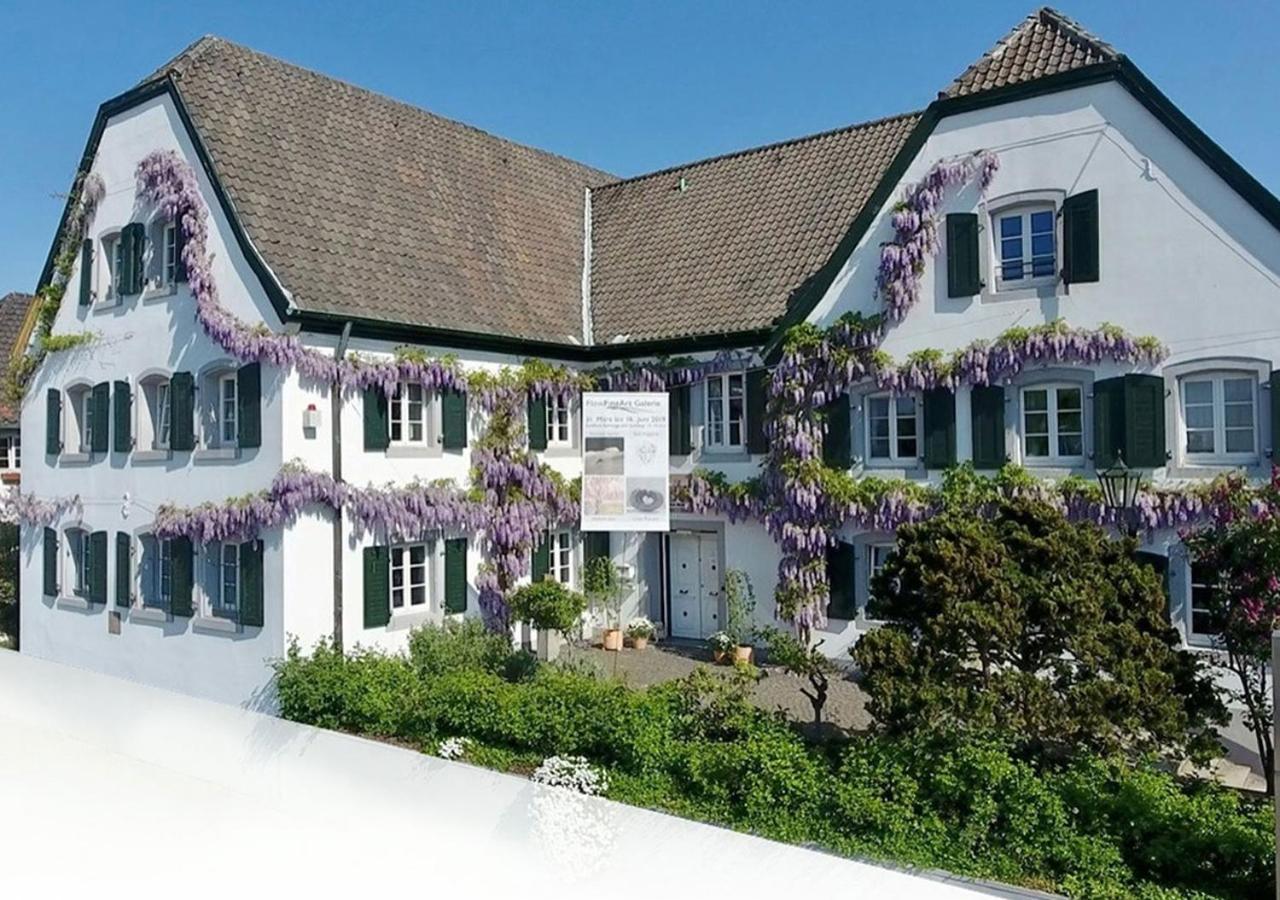 Rhein River Guesthouse - Direkt Am Rhein Leverkusen Eksteriør billede