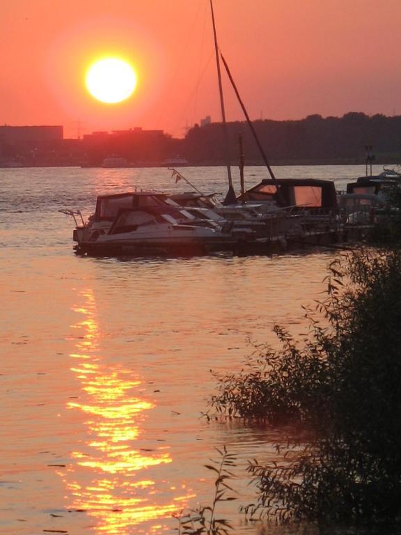 Rhein River Guesthouse - Direkt Am Rhein Leverkusen Eksteriør billede
