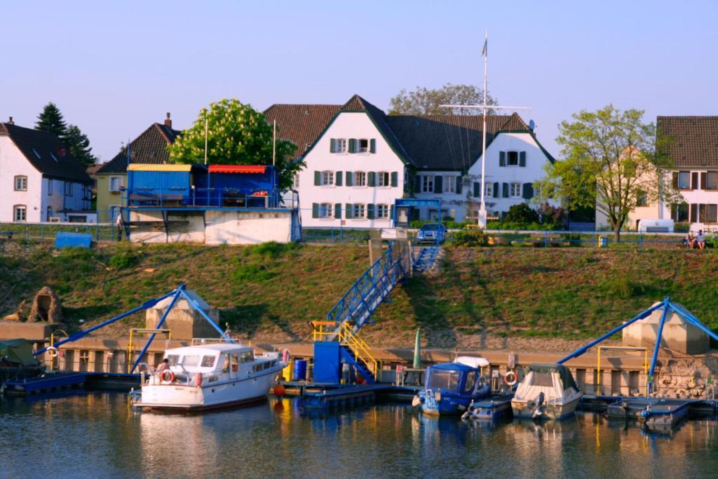 Rhein River Guesthouse - Direkt Am Rhein Leverkusen Eksteriør billede