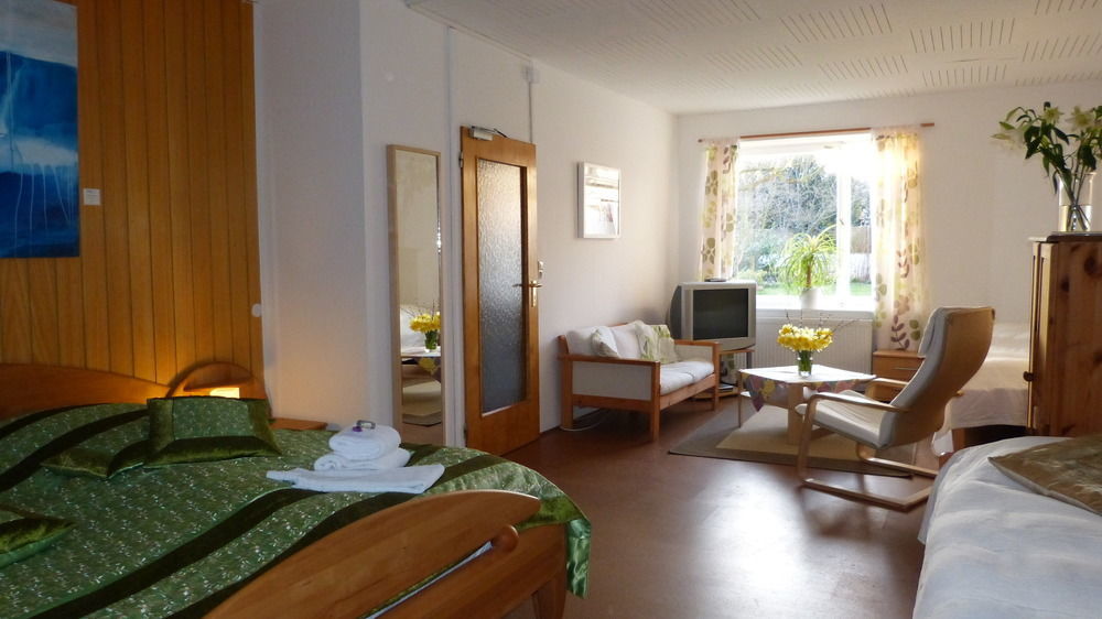 Rhein River Guesthouse - Direkt Am Rhein Leverkusen Eksteriør billede