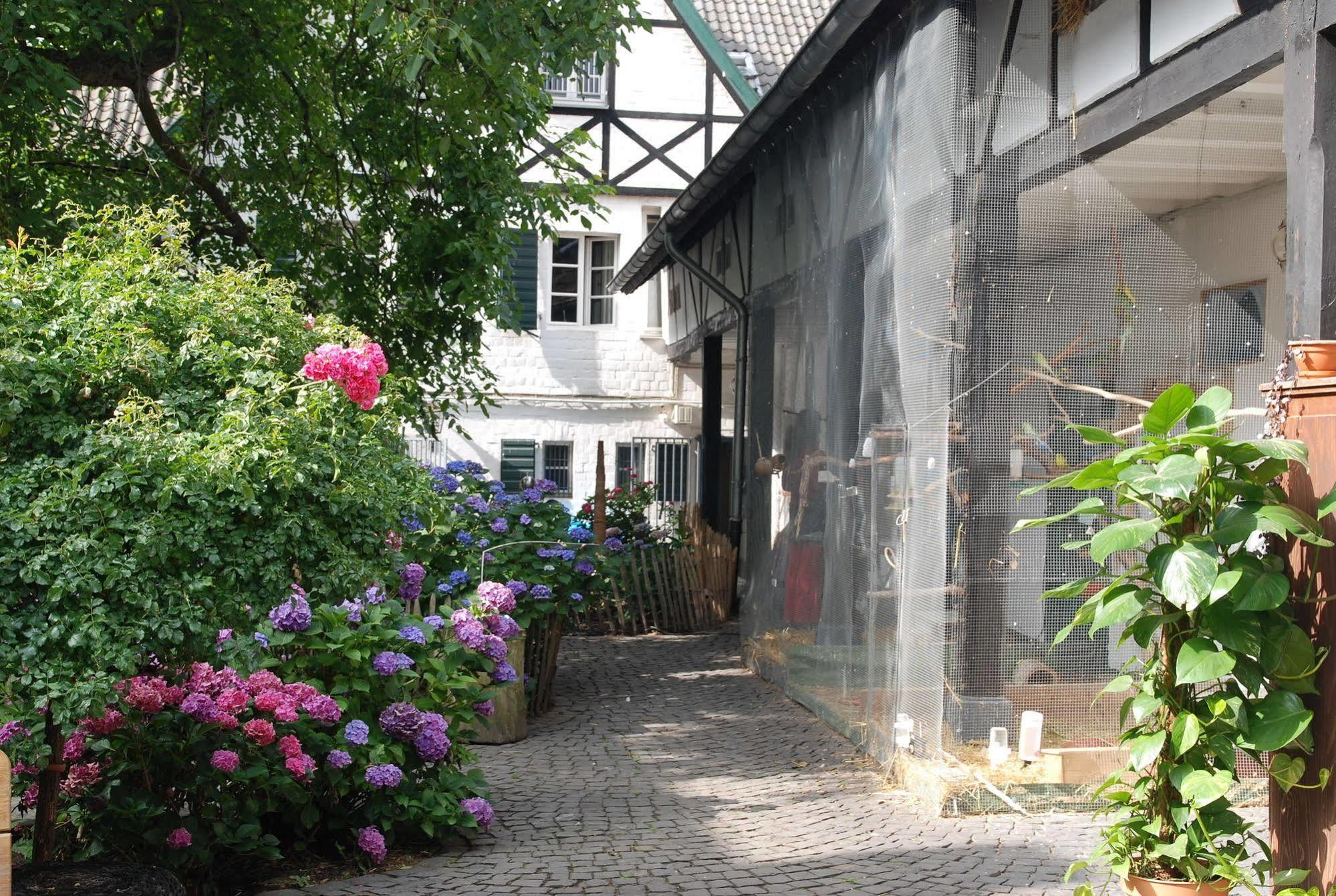 Rhein River Guesthouse - Direkt Am Rhein Leverkusen Eksteriør billede