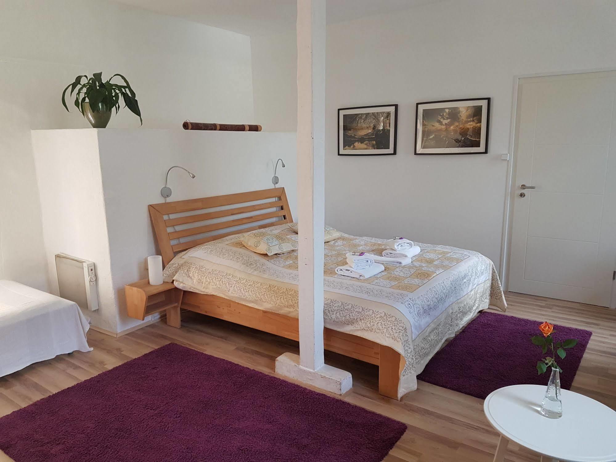 Rhein River Guesthouse - Direkt Am Rhein Leverkusen Eksteriør billede