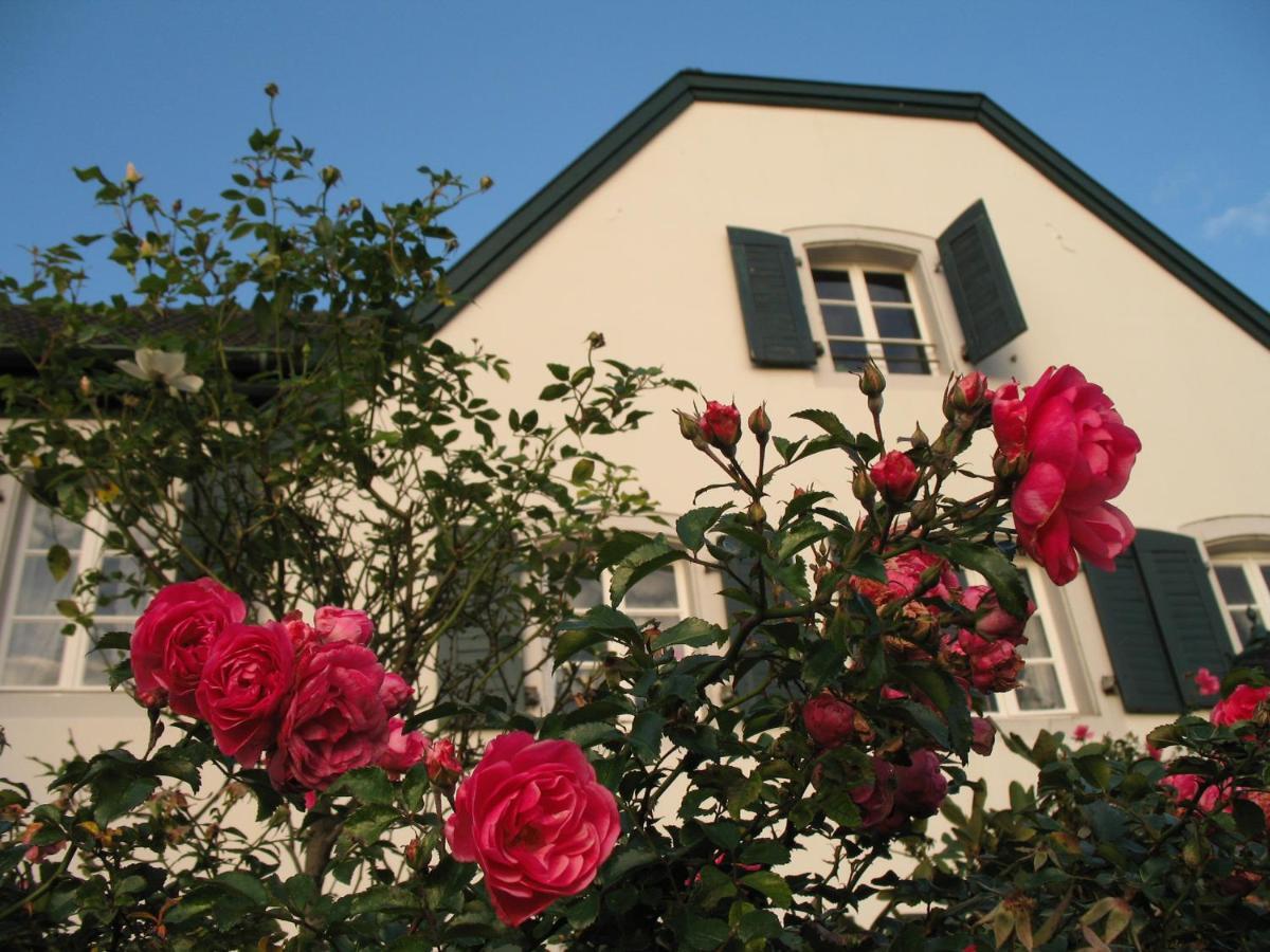 Rhein River Guesthouse - Direkt Am Rhein Leverkusen Eksteriør billede